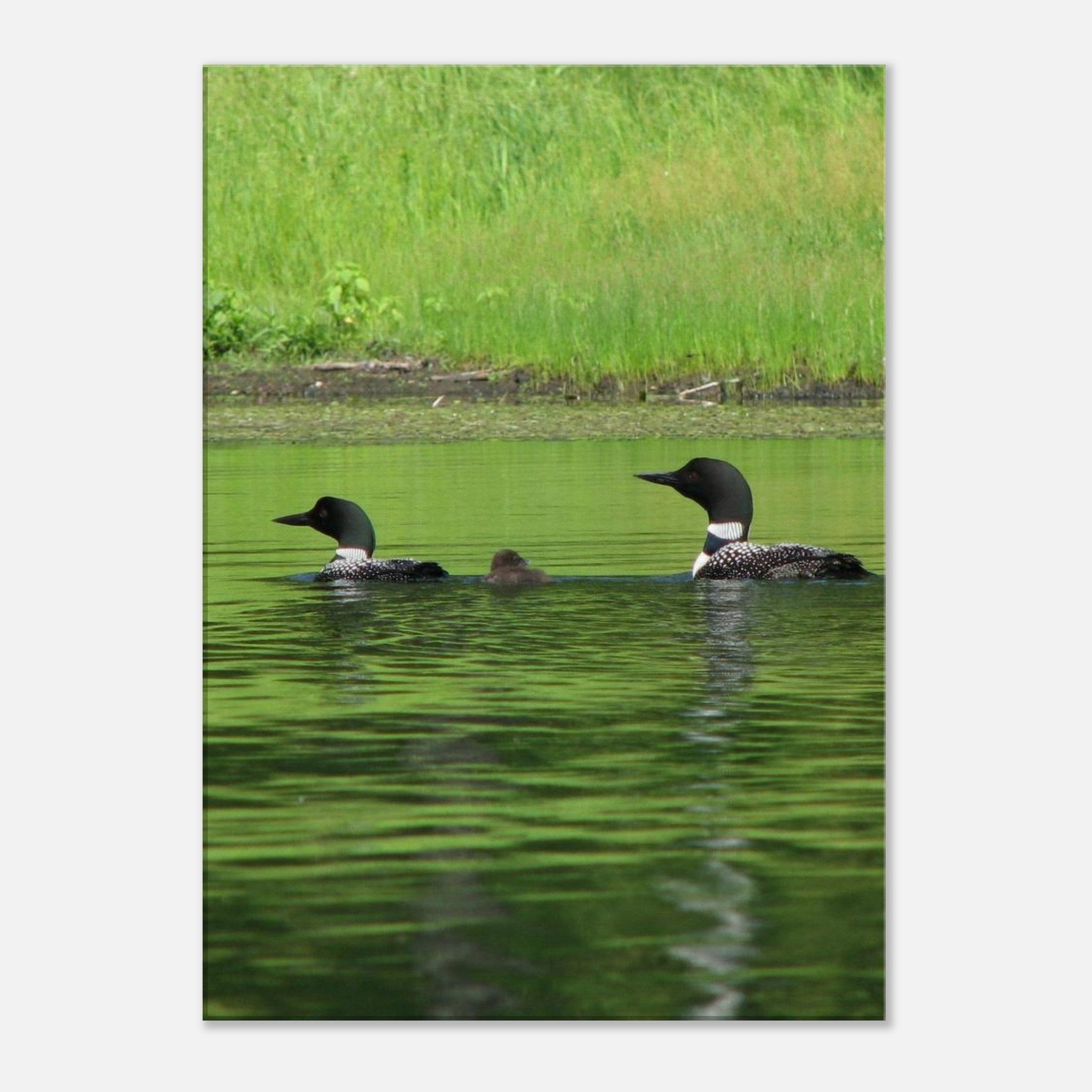 0561526d-5649-4d0b-99ab-23f1cf6f0e7c