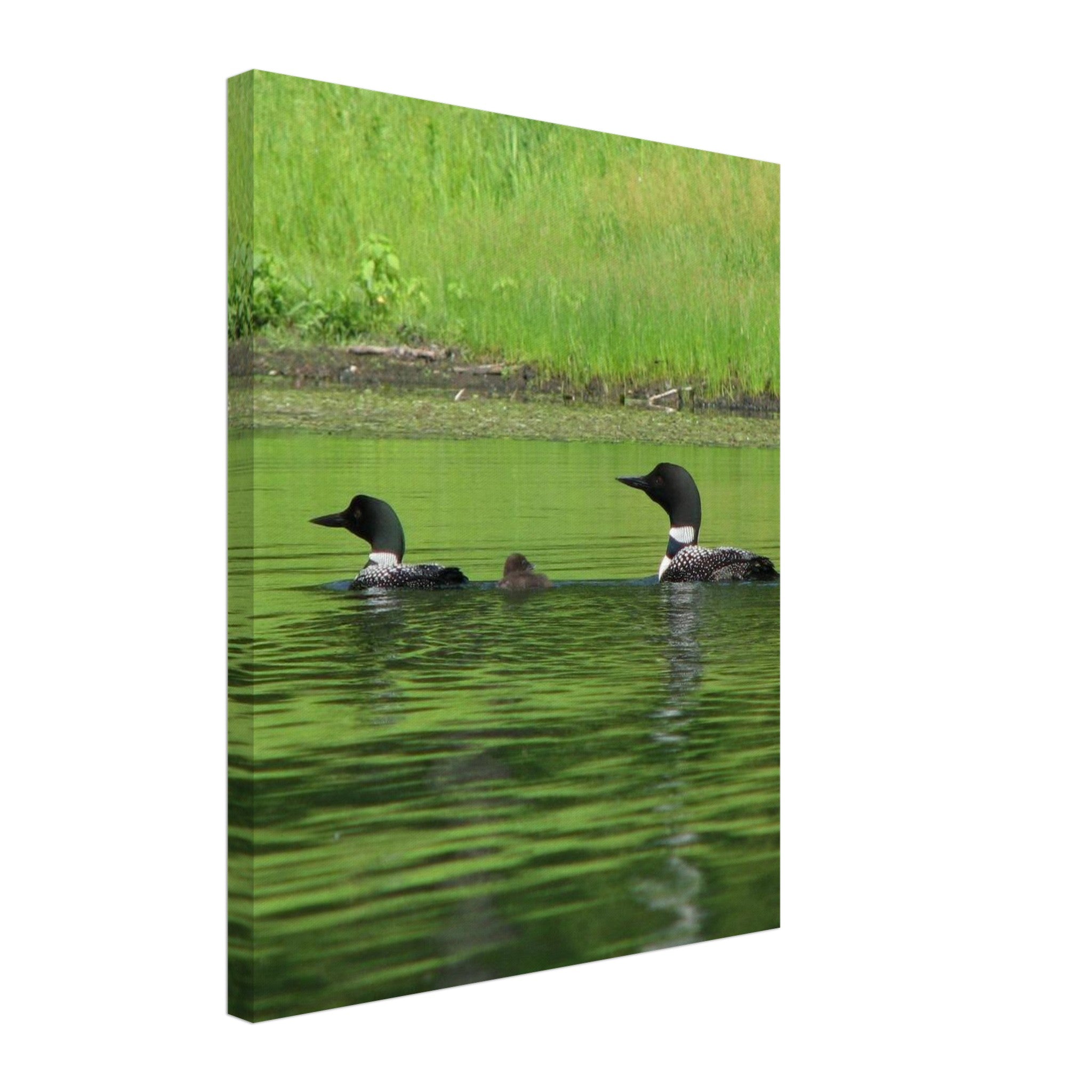 0ecba5c7-75ef-4d95-85c2-9328e1a296d2