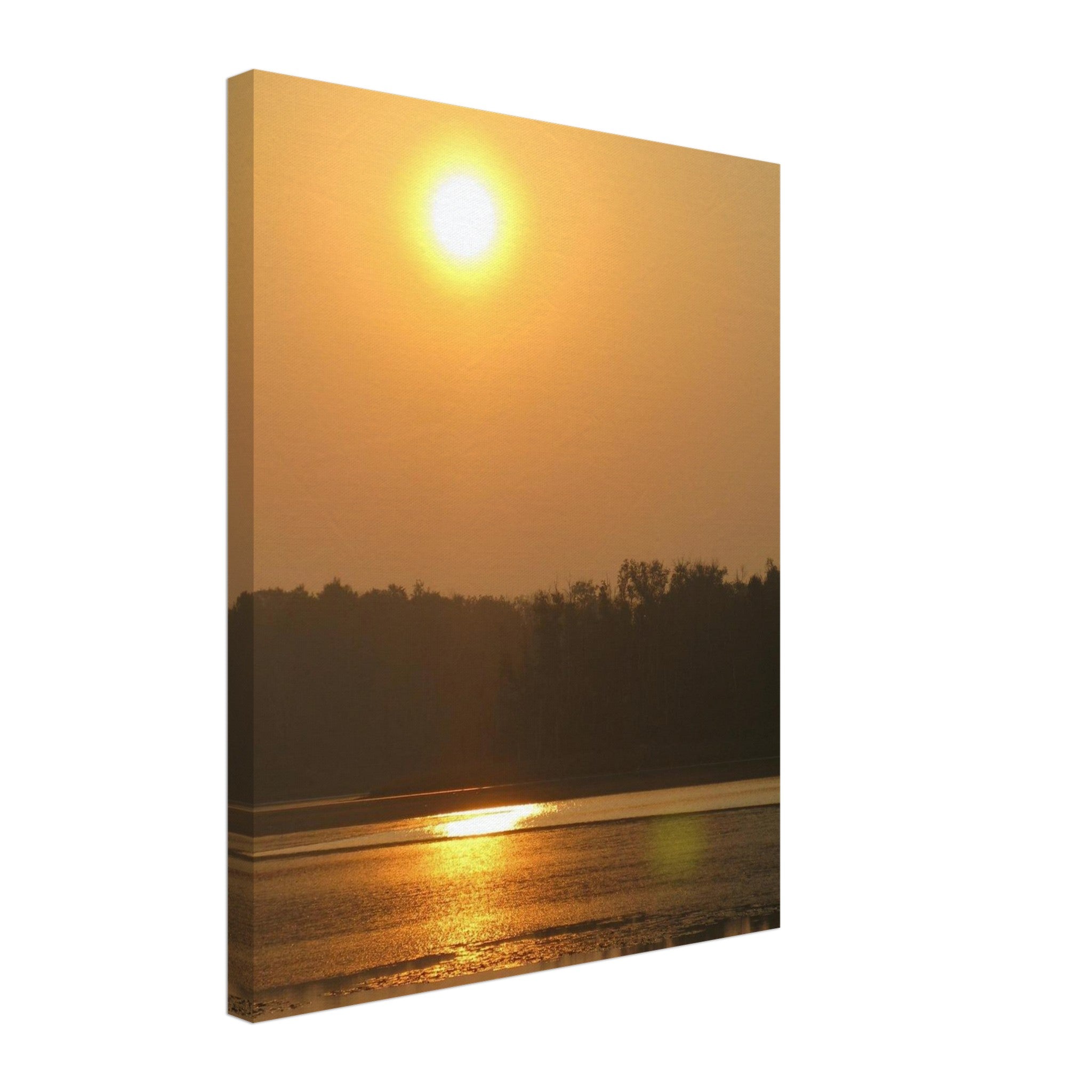 1f5c0b52-e0f2-46cc-a672-883966f51c37