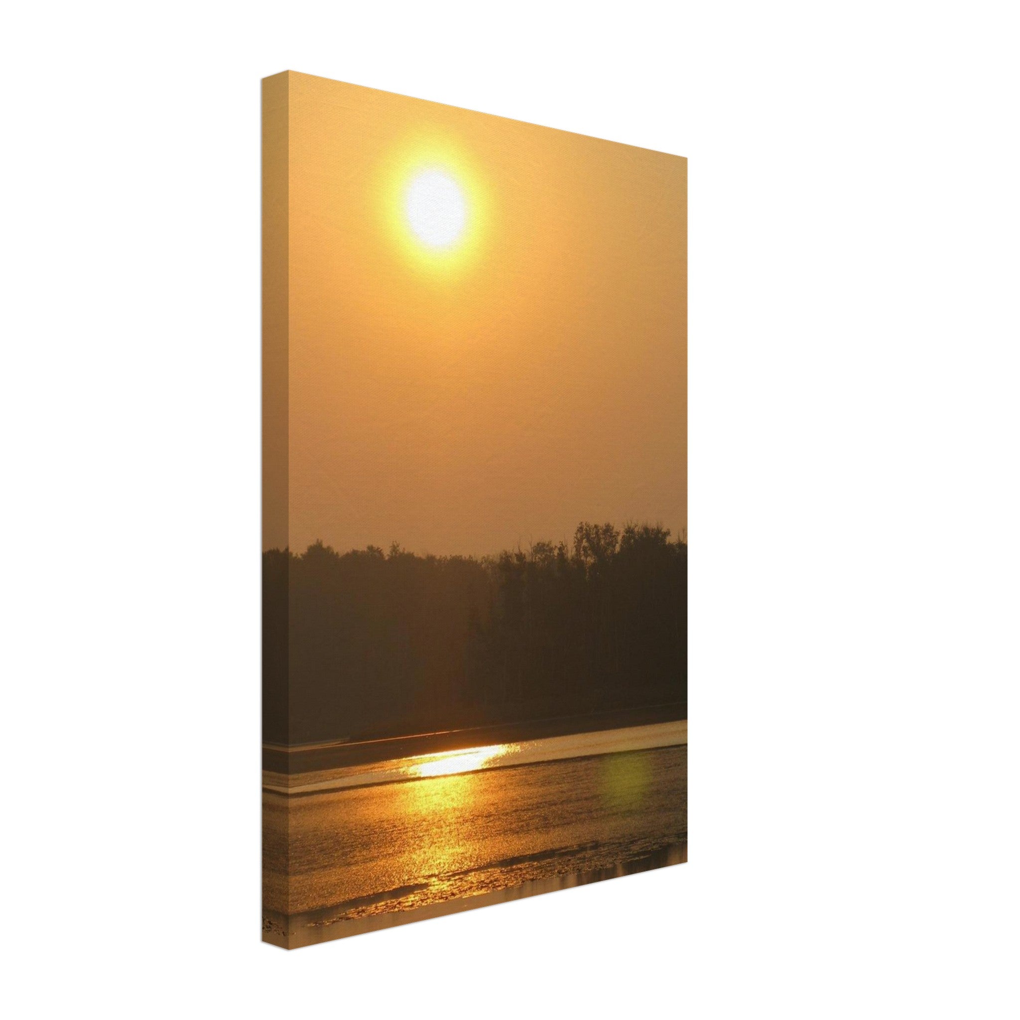 24695b8a-3ddf-4cea-9fa6-cc312d685837