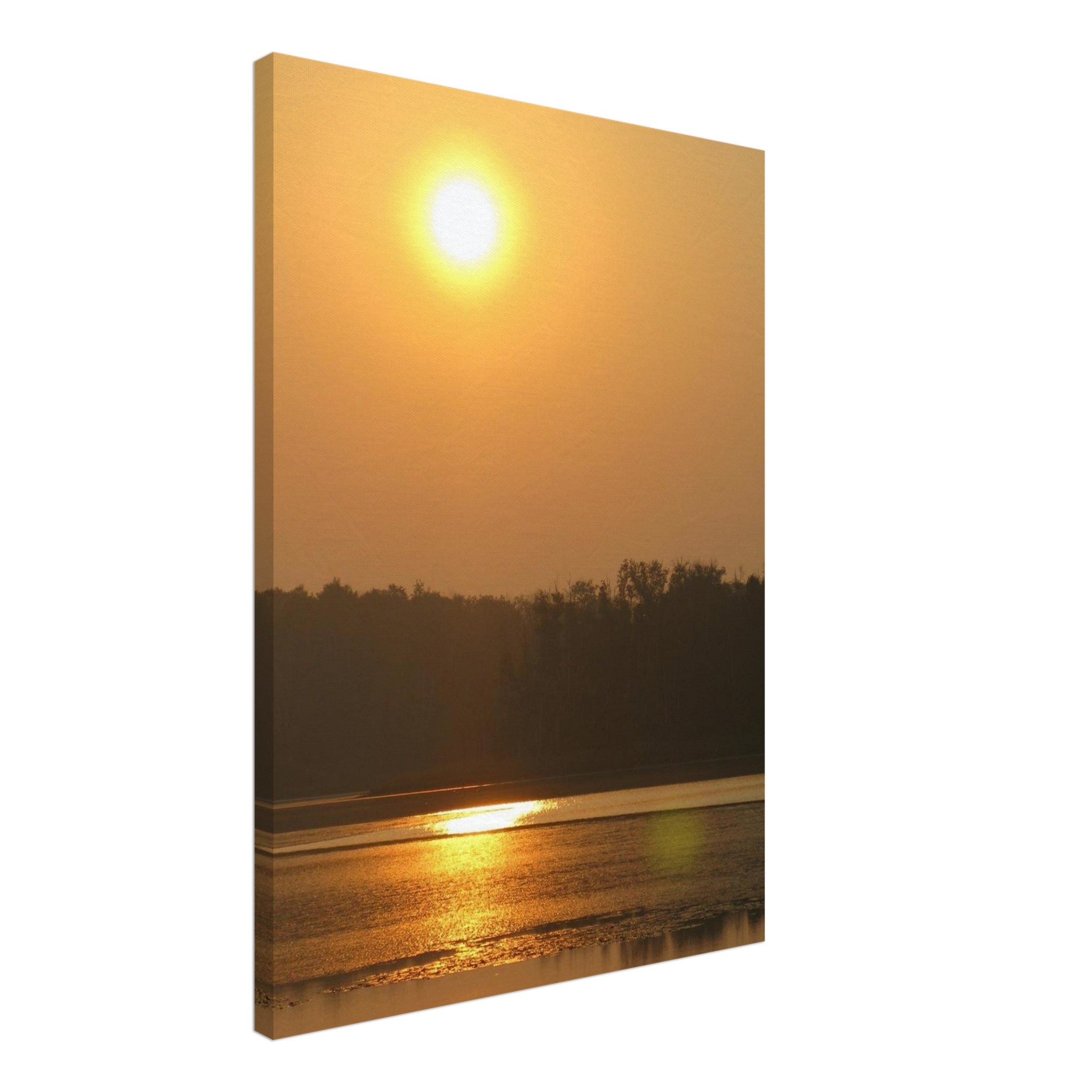 6bb87720-c625-4198-86c9-8dcd1dfb605e