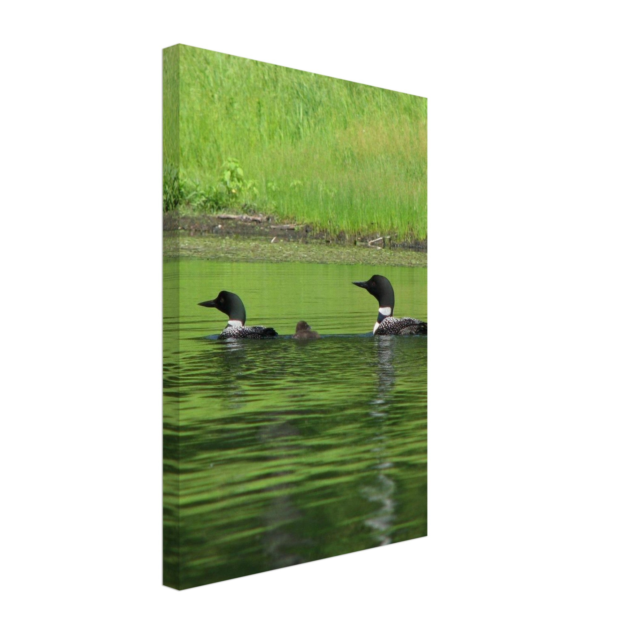 ba036386-a684-43ef-a850-24f45ef8101b