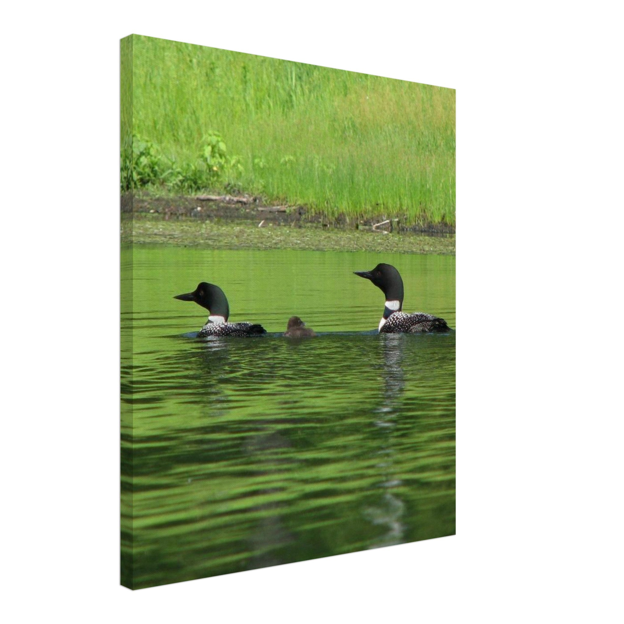 ea2b0c2d-e132-4062-a174-5c62c7be56c8